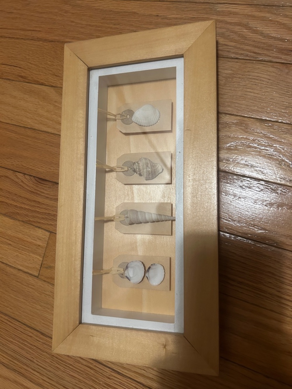 Framed Coastal Shell Shadow Box - Neutral Wood Frame